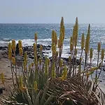 Дом отдыха Mar&sun Casa Florida Пуэрто дель Кармен